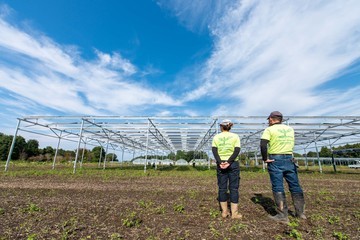 太陽光発電と無農薬農業の連動が楽しい